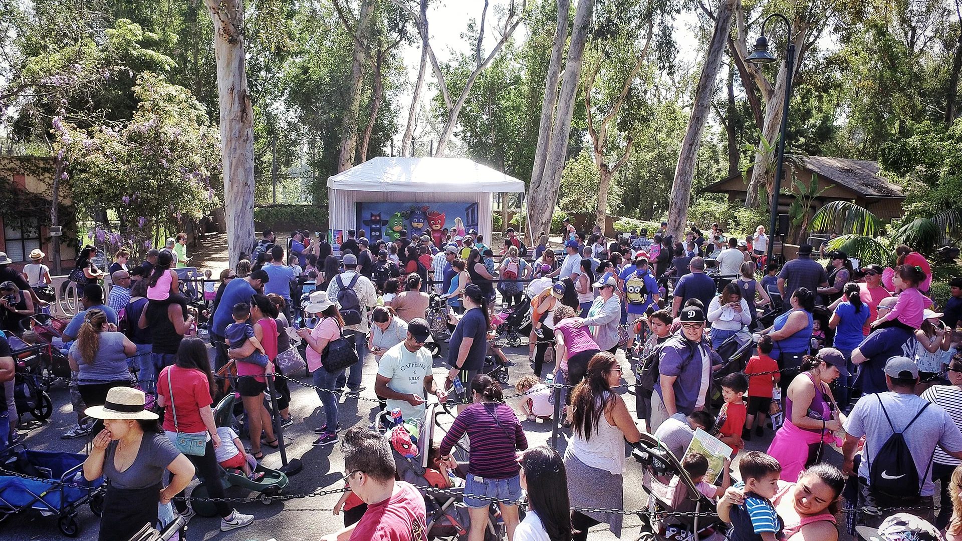 A CoComelon fan sharing her plushies with JJ and Cody